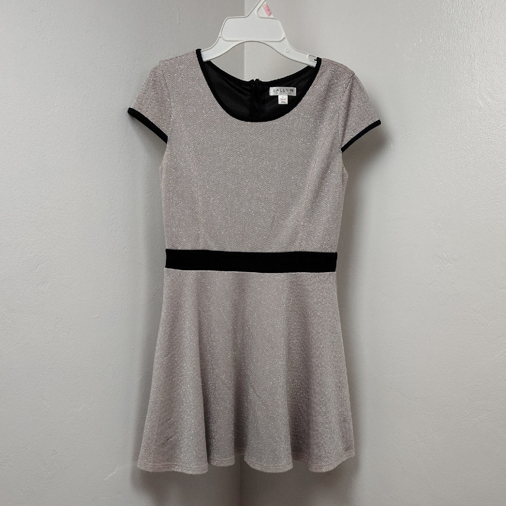Sparkly Silver and Black Dress